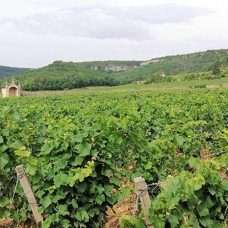 Gite Hautes Cotes De Nuits Curtil-Vergy Екстер'єр фото